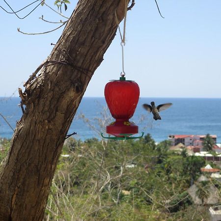 Casa Biulu Panzió Zipolite Kültér fotó
