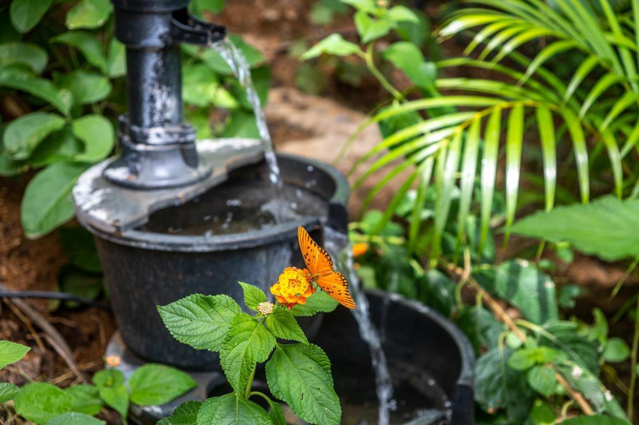 Casa Biulu Panzió Zipolite Kültér fotó