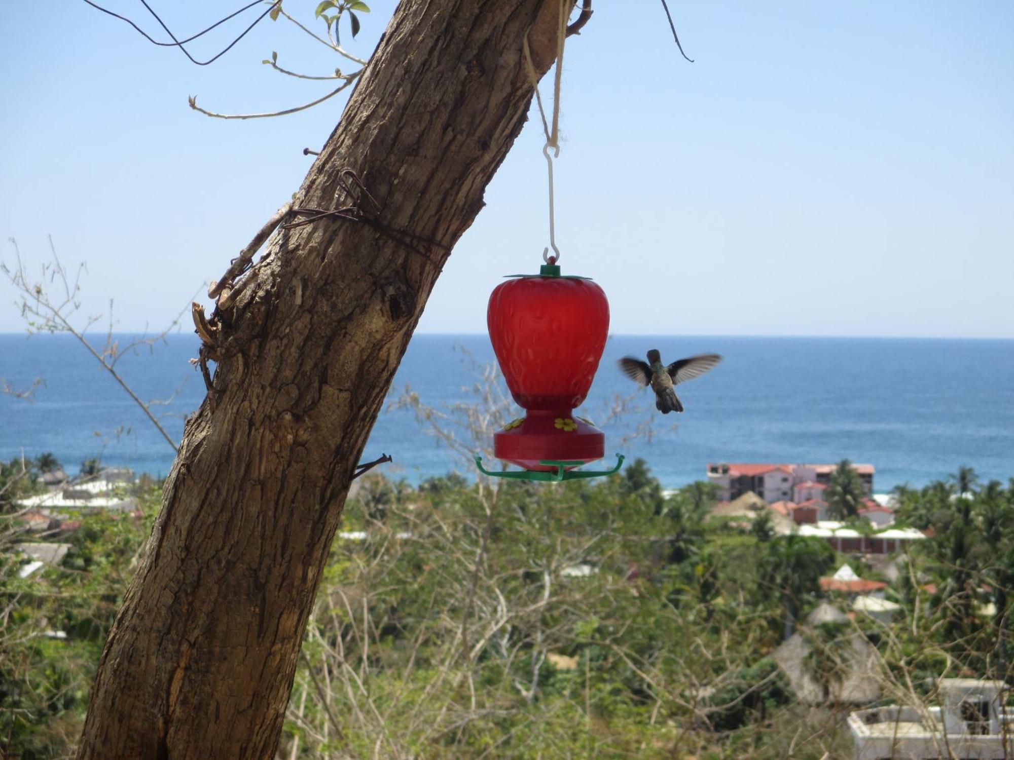 Casa Biulu Panzió Zipolite Kültér fotó